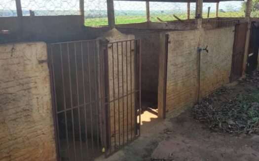 Sítio no bairro Goularte em Birigui com 6 Alqueires