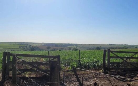Sítio no bairro Goularte em Birigui com 6 Alqueires