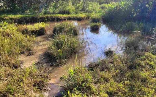 Sítio à venda com 6 alqueires – Bairro Goularte em Birigui