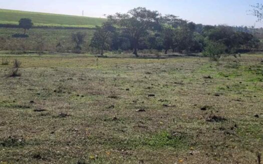 Sítio à venda com 6 alqueires – Bairro Goularte em Birigui